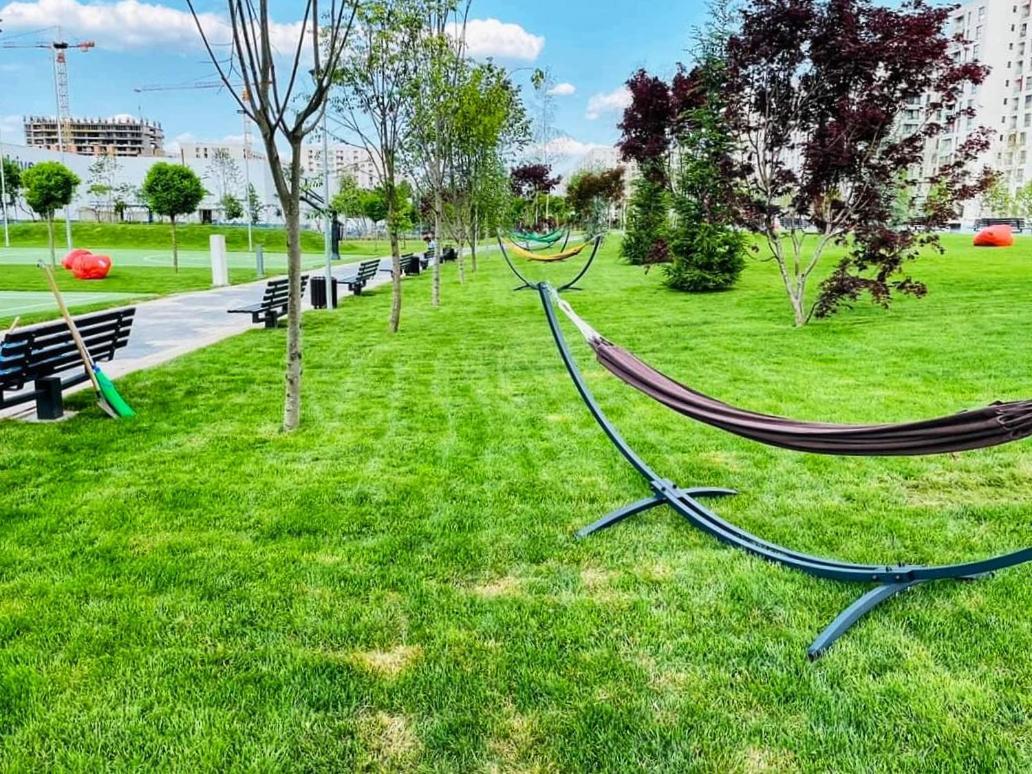 Botanic Nest Panoramic Studio Букурещ Екстериор снимка